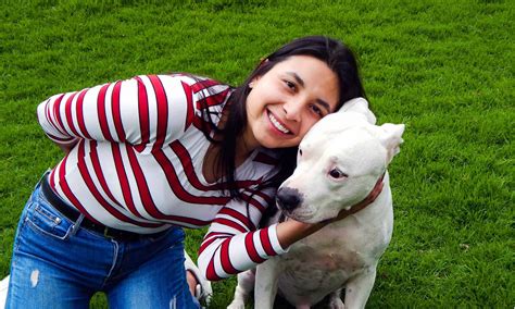 Costco Pet Insurance Review: Pros, Cons, and Coverage - A-Z Animals