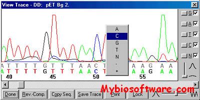 Image result for How to Program DNA