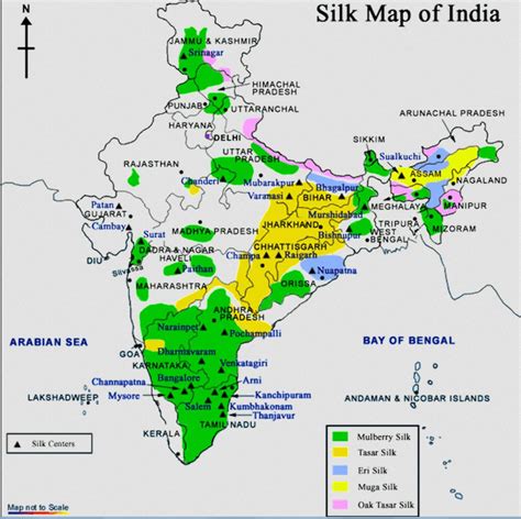 भारत में रेशम उत्पादन – UPSC
