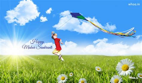 Makar Sankranti Uttarayan Kite Festival HD 4K Images Wallpapers Backgrounds
