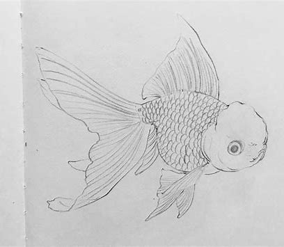 tutorial pencil sketch tutorial for beginners