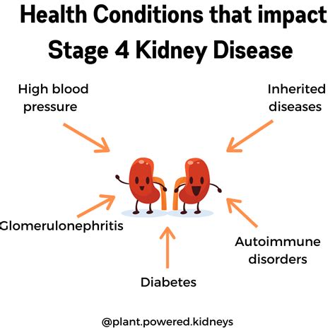 Is Stage 4 Kidney Failure Terminal at Alice Denzer blog