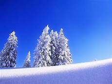 Snow Backgrounds by Wallpapers Snow Wallpapers Snow Backgrounds