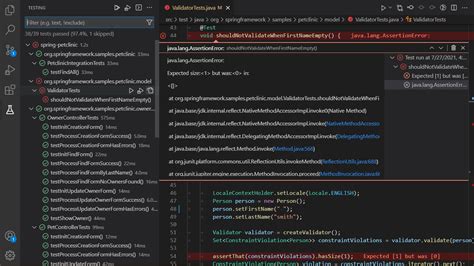 Image result for Visual Studio Code Extensions for Java