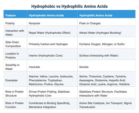 Hydrophobic vs Hydrophilic Amino Acids