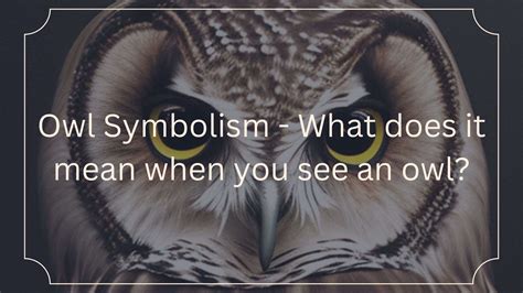 Owl Symbolism - What does it mean when you see an owl?