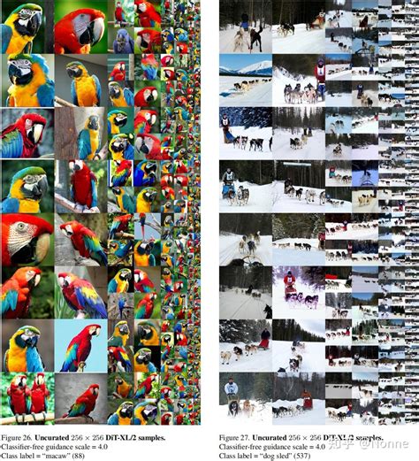 Diffusion Transformer 的图像结果