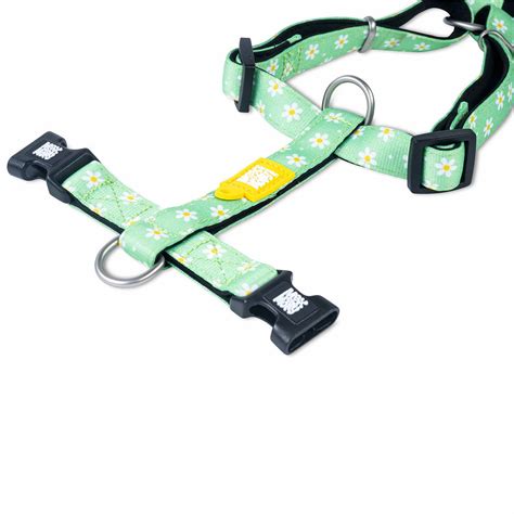 Max & Molly Original dog harness Small - Margarite, globaldogshop.com ...