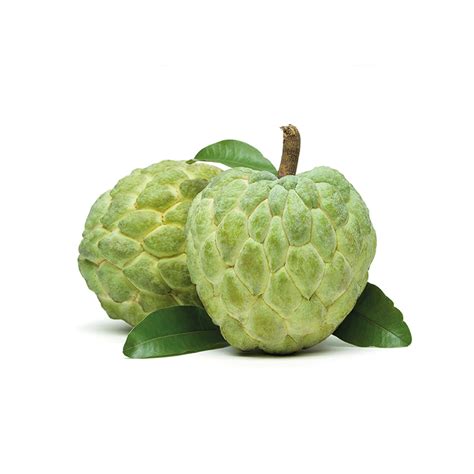 Custard Apple / Sitaphal/ Sugar Apple – Fresh Club