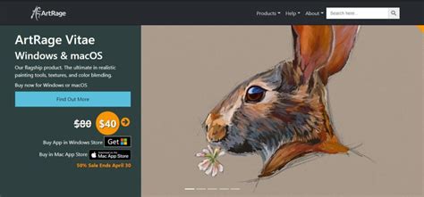 Image result for Software Drawing Example