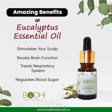 Eucalyptus Oil On Your Feet at Alexis Hayes blog