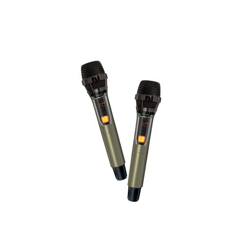 2 Wireless Mic