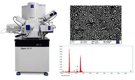 Goa University: FE-SEM