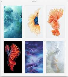 Wallpaper Iphone 6s Keren by Get The Beautiful Live Wallpapers From Iphone 6s As Still Wallpaper Iphone 6s Keren
