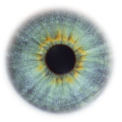 Human eye color chart