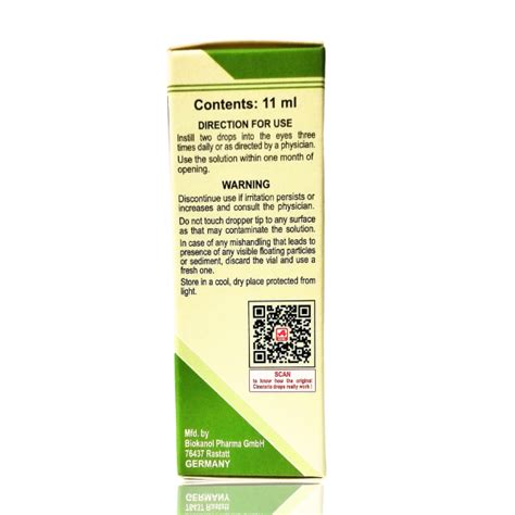 ADEL CINERARIA MARITIMA