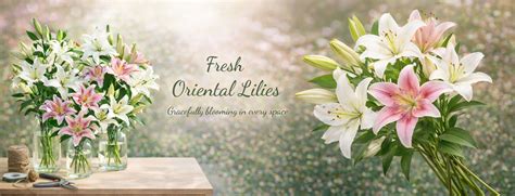 Buy Fresh Flowers Online. Order Flowers Online for same day delivery ...