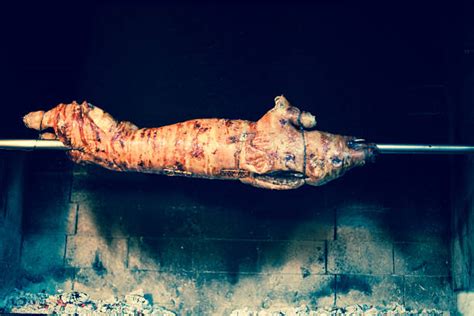 Image result for Hog Tying Tutorial