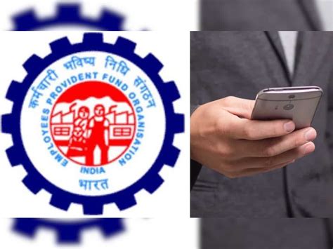 PF Status: Check how to know balance, last contribution available with ...