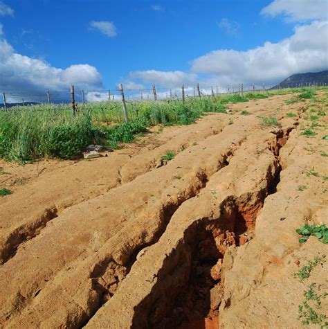 Seed for Erosion Control - Great Basin Seed