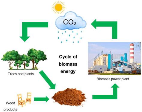 Biomass energy - Vn-Industry
