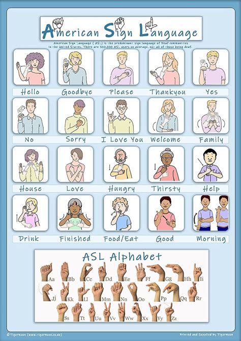 Amazon.com: Tiger Moon American Sign Language - Basic Signs & Alphabet ...