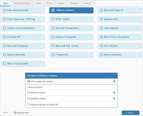 5 0 0:VMware Single File Restore - SEPsesam