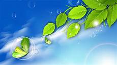 Wallpaper Of Fresh by Best 47 Fresh Wallpapers On Hipwallpaper Clean Fresh Wallpaper Of Fresh