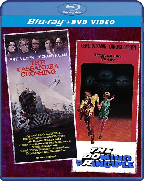 The Domino Principle (1977) - Mike's Take On the Movies