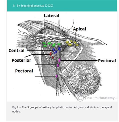 Image result for Python Textbook with Guides
