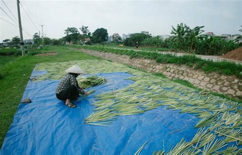 Nurture the Nature: Pledge to protect Mother Earth this World ...