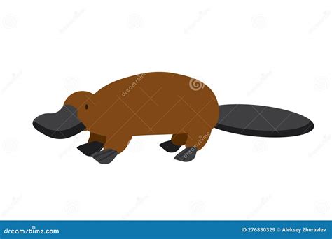 Rare Animals Collection. Platypus, Ornithorhynchus Anatinus. Endemic ...