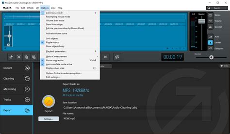 Image result for Magic Audio Cleaning Lab 4 Edit Tutorial