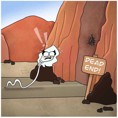 Image result for Load Runner Scripts