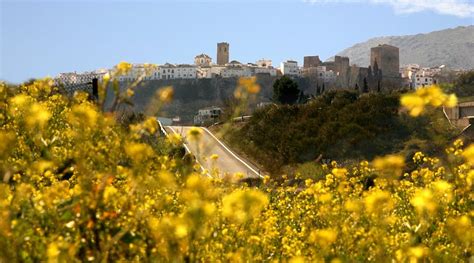 ALOJAMIENTO RURAL EL JAZMIN (Priego de Cordoba, Province of Cordoba ...