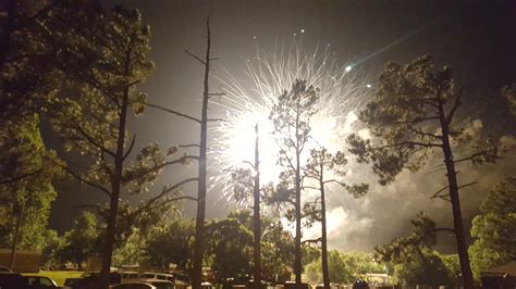 Image result for Tree Explosion