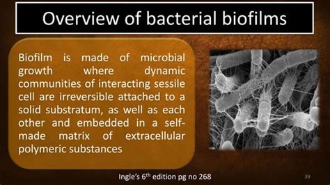 Image result for Enterococcus Faecalis Treatment Options