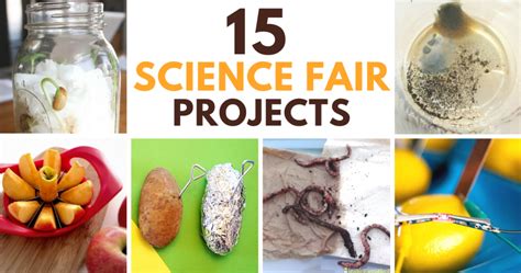 Stem Science Fair Projects 的图像结果