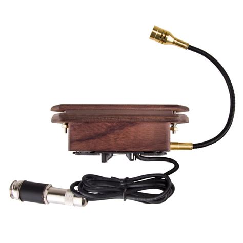 Rare Passive Acoustic Guitar Soundhole Pickup with Microphone Musical ...