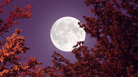 Cuándo y cómo ver la Luna de Flores mayo 2023 y origen de su nombre | WIRED