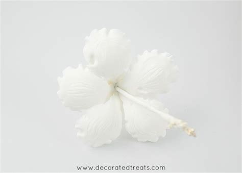Image result for Gumpaste Hibiscus Tutorial
