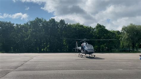 Image result for TreeChopper