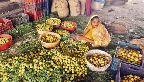 नींबू को महंगाई की नज़र लग गयी: 10 रुपये में मिल रहे नींबू पर इंटरनेट ...