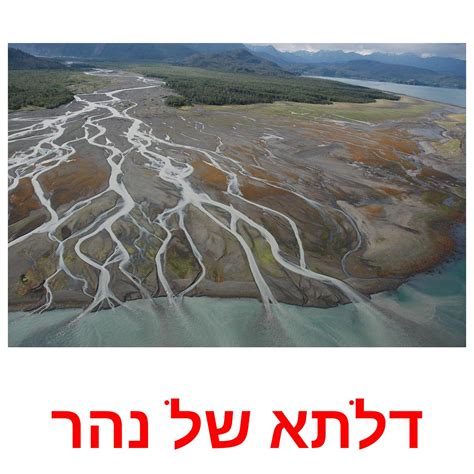 30 FREE Bodies of Water Flashcards | PDF | Hebrew Words