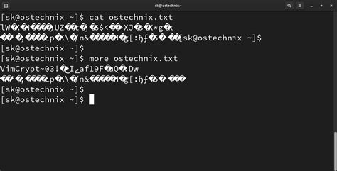 How to Protect Text Files 的图像结果