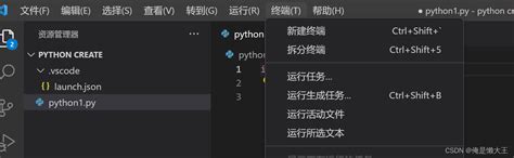 Installing Numpy Python vs Code 的图像结果