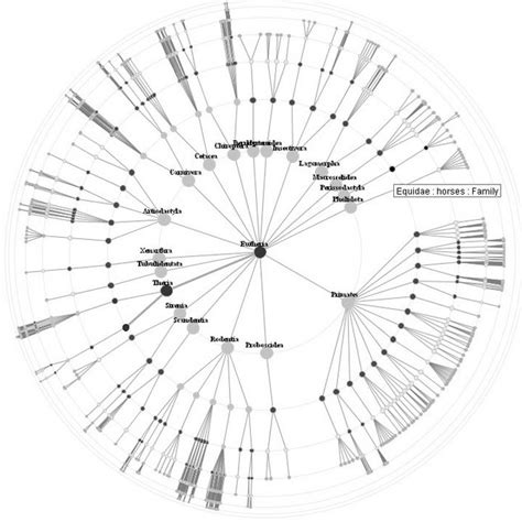 Image result for Radial TreeMap Examples