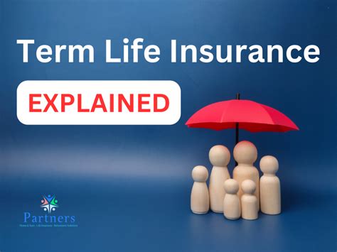 Define Term Life Insurance 的图像结果