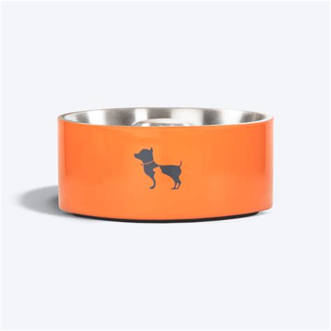 Shih Tzu Essentials: Treats, Food, Chews, Bowls & Toys for Shih Tzu ...