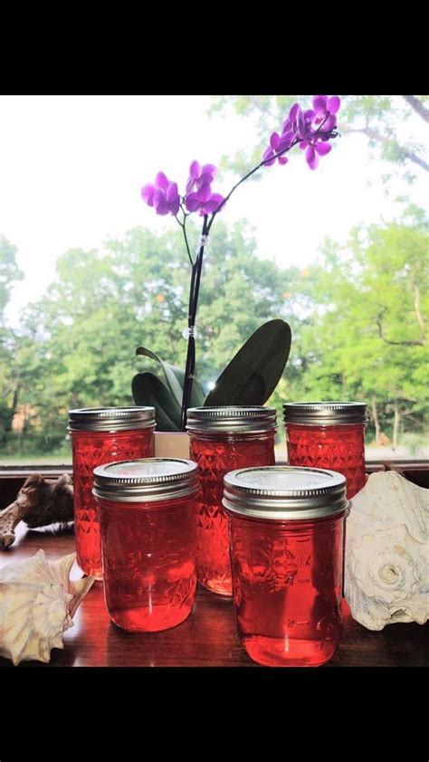 Pop-Up Farm Stand Opening, 12017 Senedo Road, Mount Jackson, VA, Basye ...